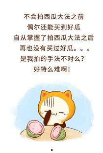 拒绝网暴理智吃瓜,理智吃瓜，共建和谐网络环境