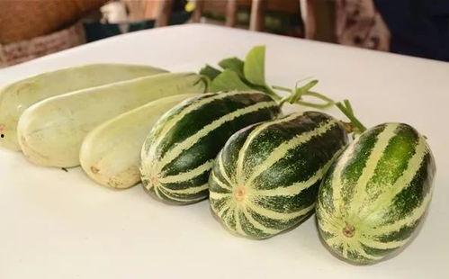 网红吃的小瓜,小瓜美食大揭秘