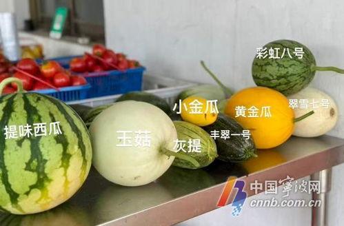 吃瓜网怎么找,轻松找到热门话题的秘籍指南