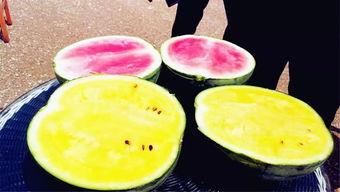 大瓜吃料网,大瓜吃料网带你领略明星幕后故事