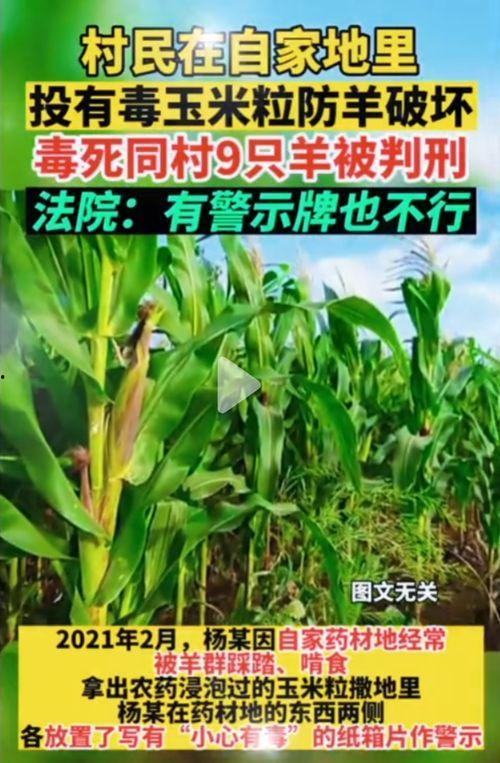 五一网吃瓜网,揭秘五一假期热门事件背后的真相