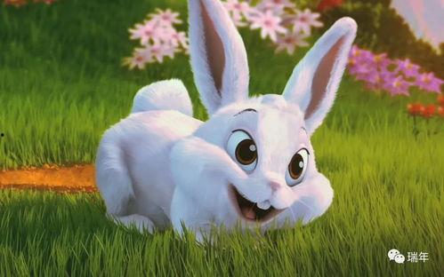 网红吃瓜兔事件最新进展