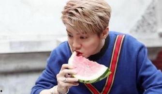 象棋吃瓜网,揭秘棋坛风云，畅享棋艺盛宴