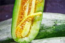 网红69吃瓜,揭秘网红69吃瓜背后的真相与争议