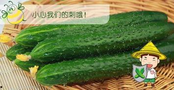 六六酱吃瓜网官网