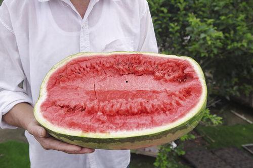临夏网红浪山吃瓜事件